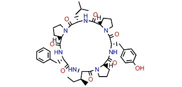 Stylissamide D